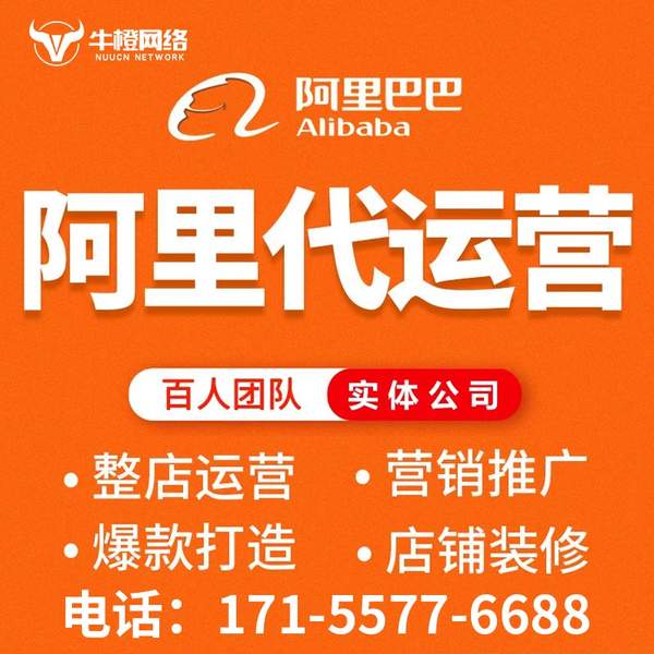 耒阳电商代运营