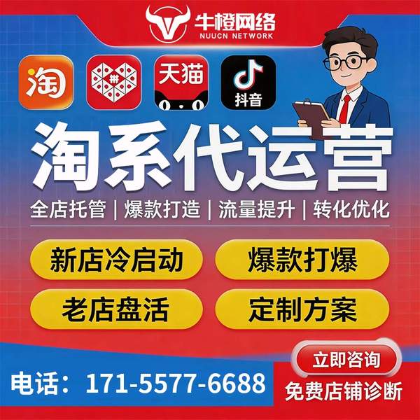 耒阳电商代运营