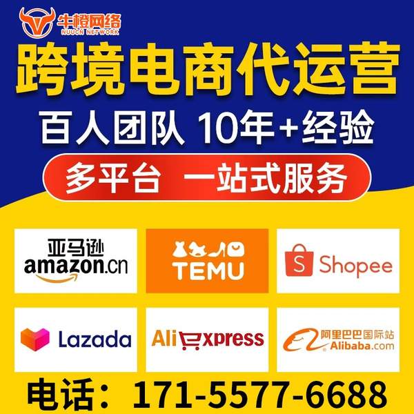 耒阳电商代运营