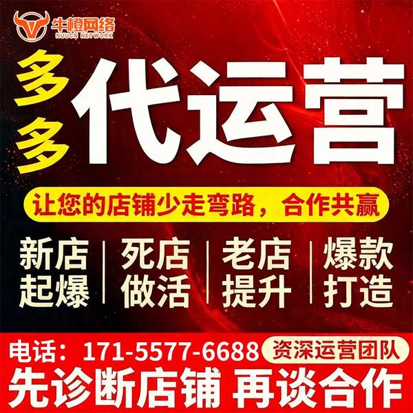 耒阳电商代运营