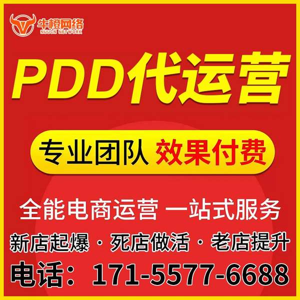 耒阳电商代运营