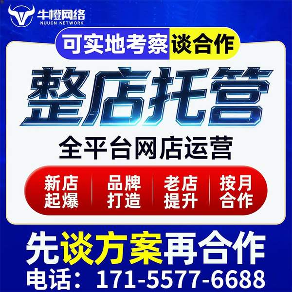 耒阳电商代运营