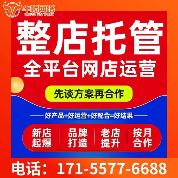 耒阳电商代运营