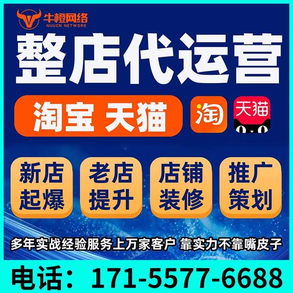 耒阳电商代运营