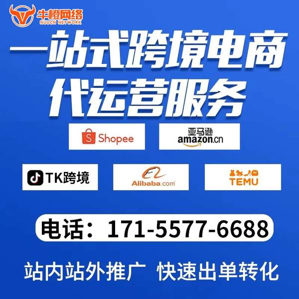 耒阳电商代运营