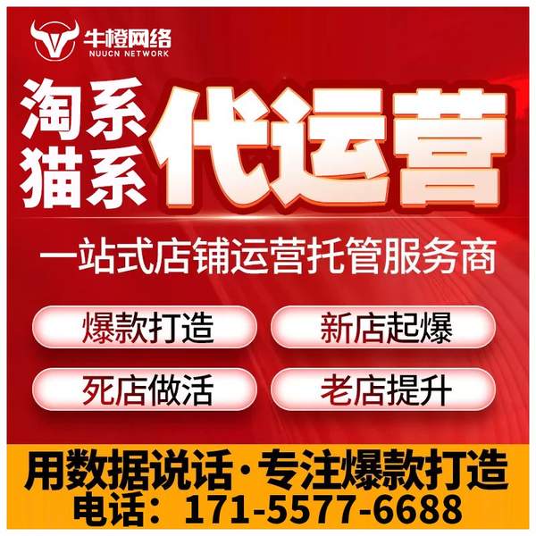 耒阳电商代运营